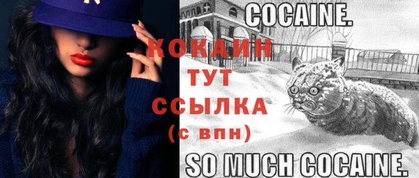 стафф Богородицк